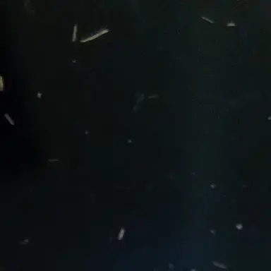 Profile image of 주들