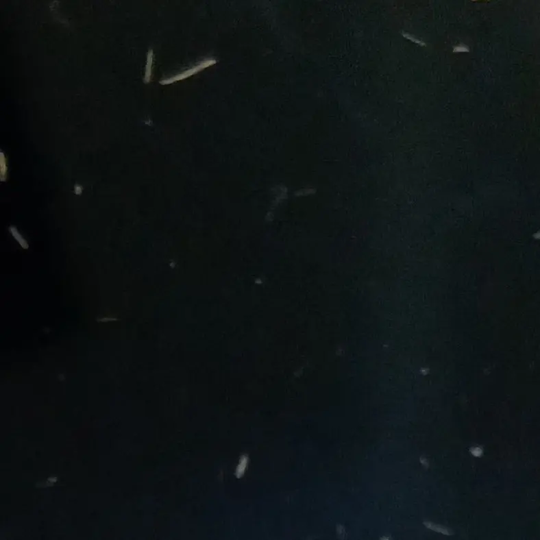 StockyJar3900의 엉…음