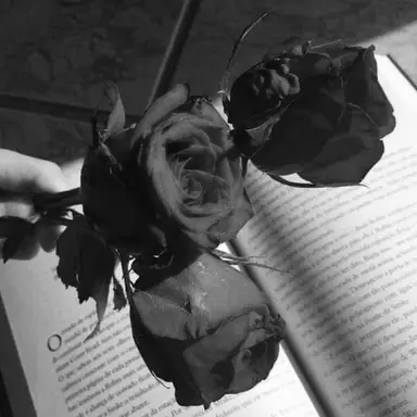 Profile image of 우융