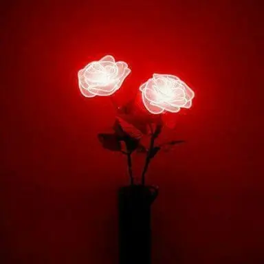 Profile image of 플래그