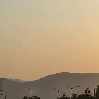 Profile image of 미수반