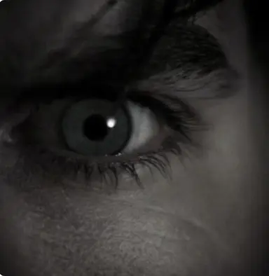 Profile image of Damon