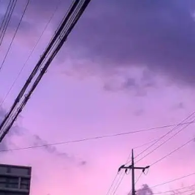 Profile image of 수현