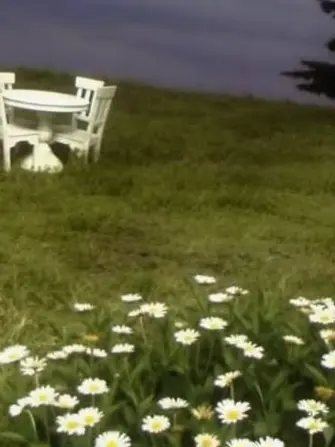 HSRD-Heptagram의 서바이벌 : PIXELY