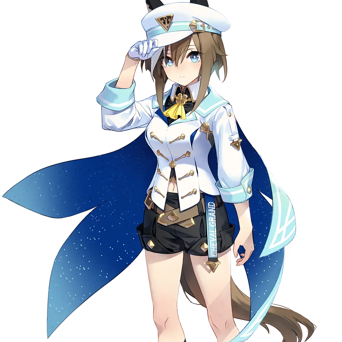 AbleFlare8494의 シュヴァルグラン
