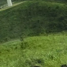 Profile image of mc3