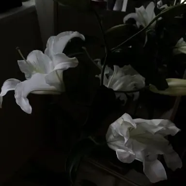 Profile image of 우융