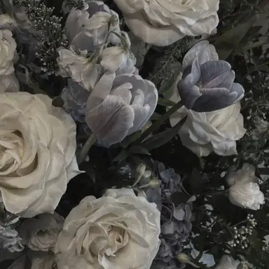 Profile image of 시미베