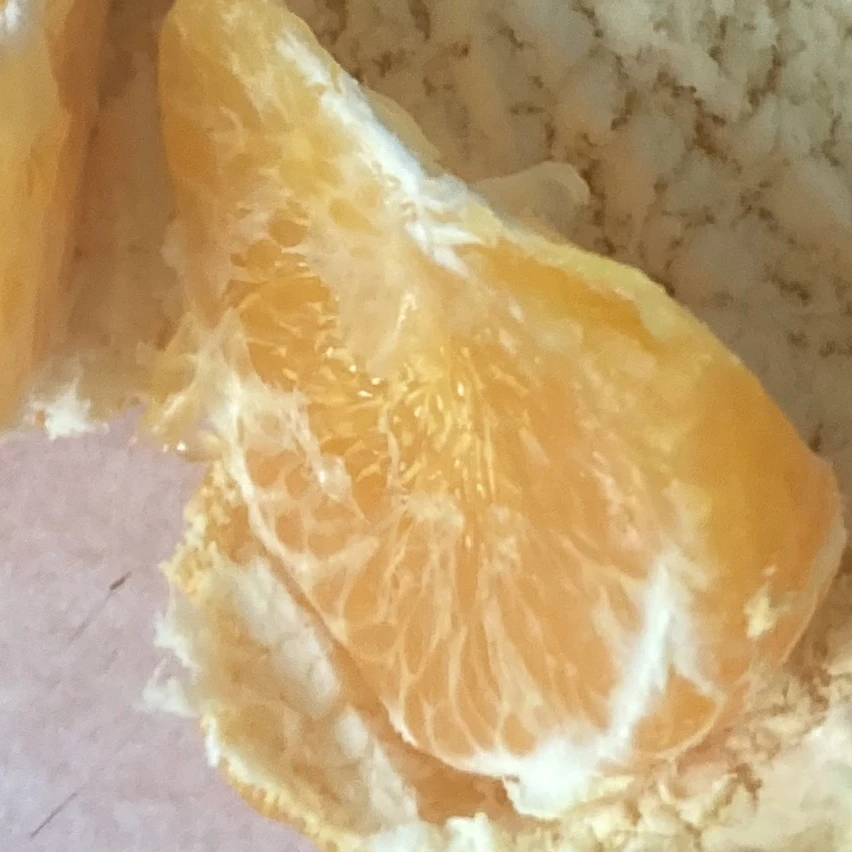 제네_카오_코투