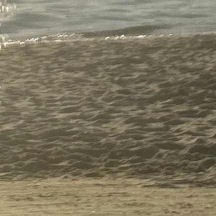 RashLynx0412의 다리가려요