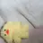 오더기