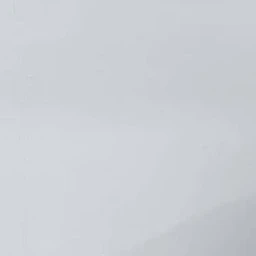 한지성