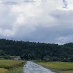 翔太