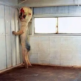 Profile image of SCP-173