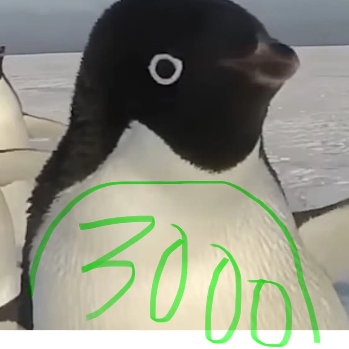 GloomyThrow8939의 ググガガペンギンがうざい！！！！！