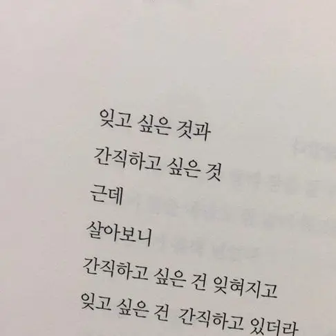 LongReef0279의 잘생긴 노숙자 한지성