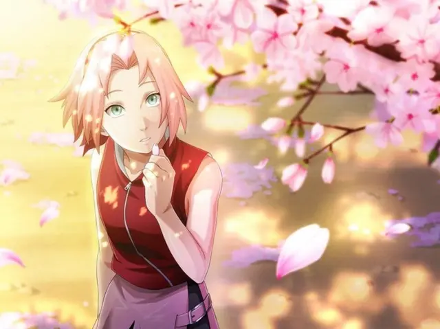 Profile image of 사쿠라