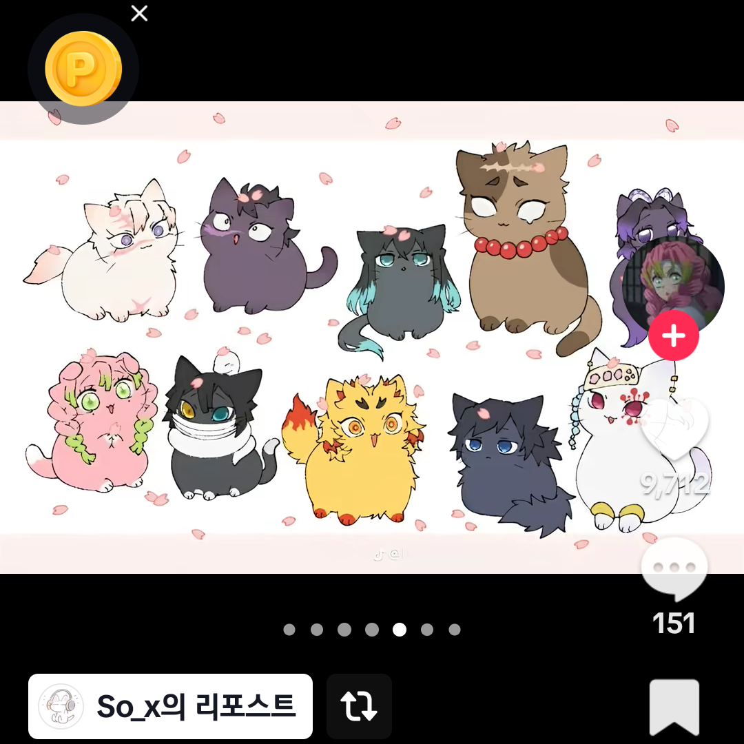 주들이 고양이로 변했다?!?! 대표 이미지