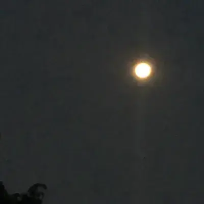 VastClay0084의 Alien RPG