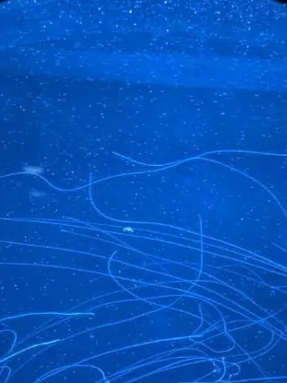 mimizuk-0011의 この身を以って