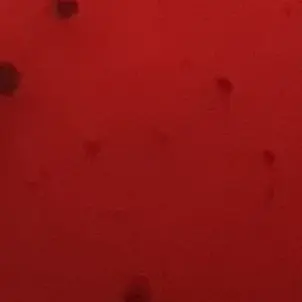 Profile image of 爆豪 勝己