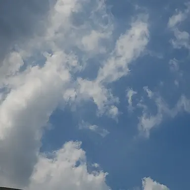 Profile image of 에스콰이어