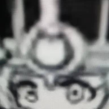 Profile image of 고양이 여왕