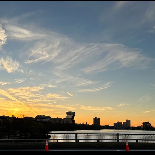 올마