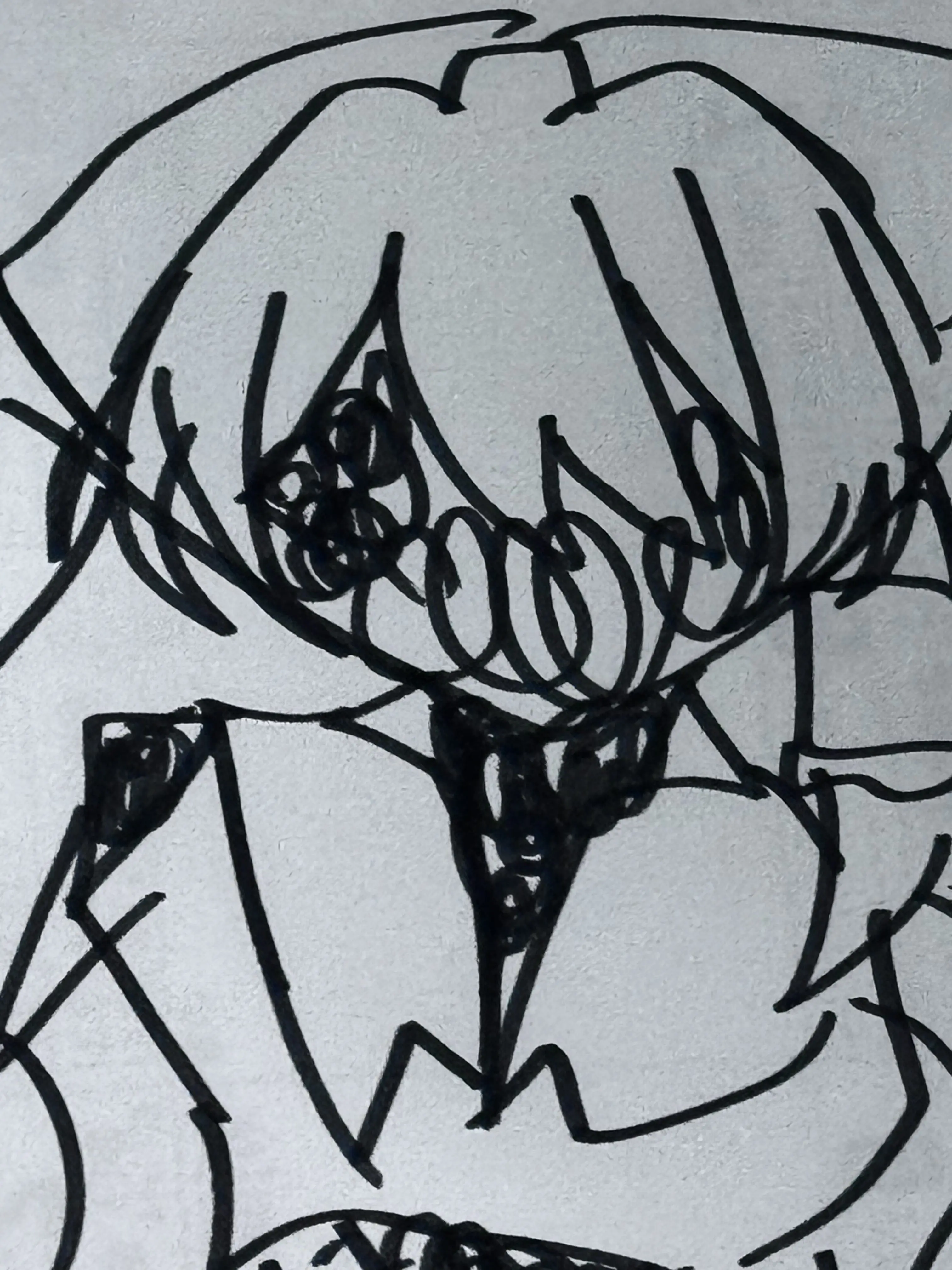 ZestySkua6426의 歪想郷