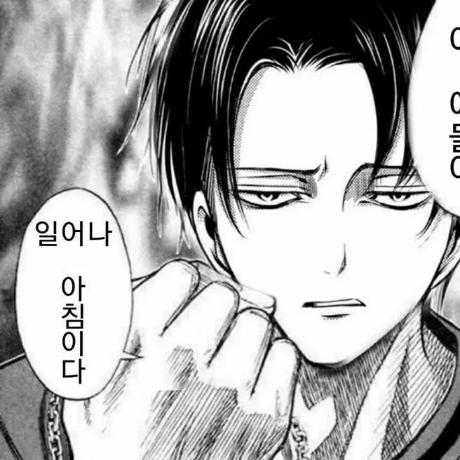 Levi160cm의 리바이