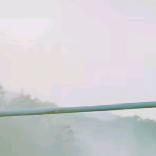 타노스 팀[가족 편] 대표 이미지