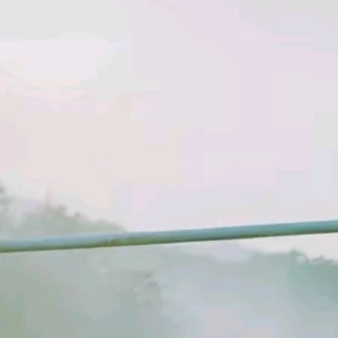 타노스 팀