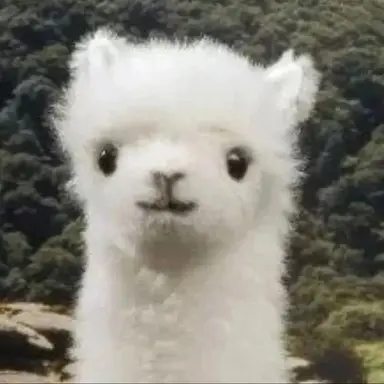 Profile image of 한 동 민