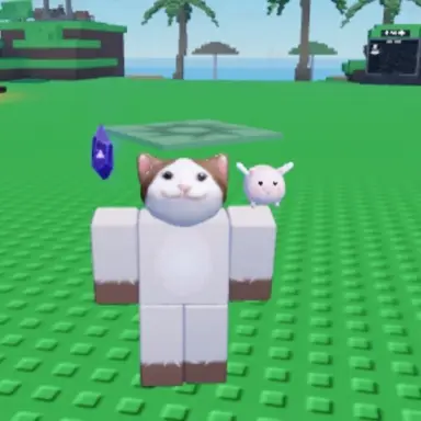 Profile image of POP cat