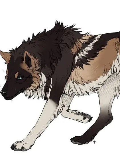 CinnamonCat1792의 Nico, the Alpha Who Took in a Pup as His Own.
