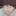 오이카와 토오루