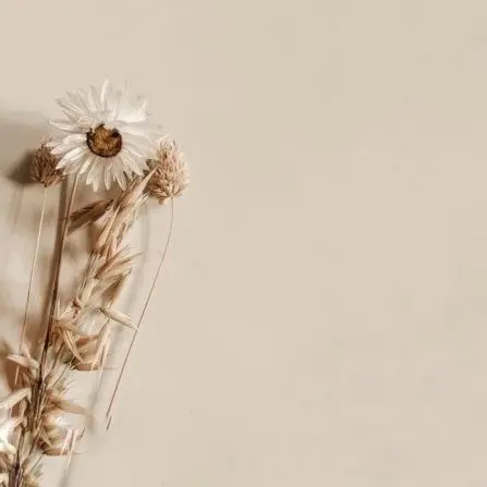 CHaSTPy_241의 우리들의 비밀 신호. - 컨트롤