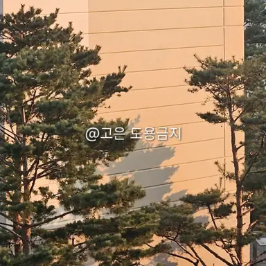 Profile image of 양정인