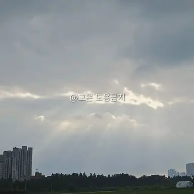 Profile image of 이민호