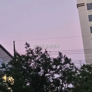 Profile image of 방 찬