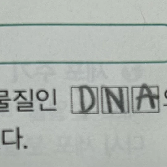 중간고사