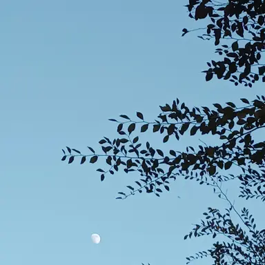 Profile image of 공룡 경사