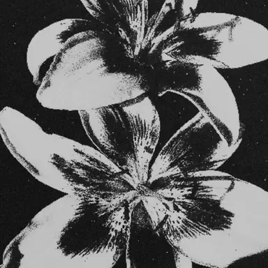 Profile image of ジアハオ