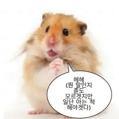 Profile image of 티로로