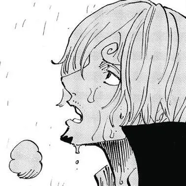 Profile image of Sanji