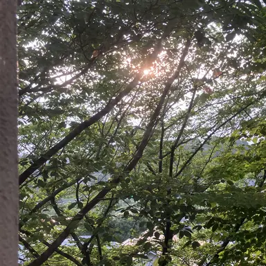 Profile image of 柚彦