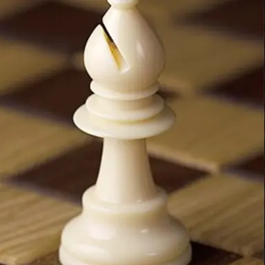Profile image of 비숍