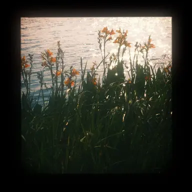 Profile image of 경석