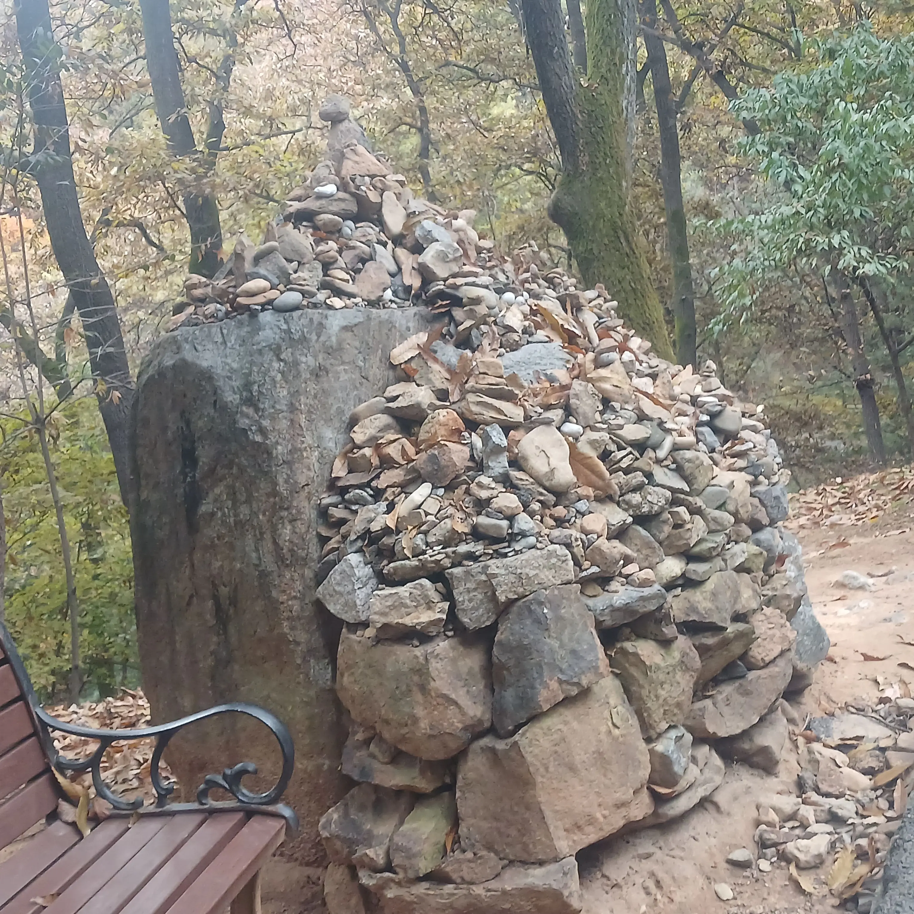 StumpyCoach1180의 이상한걸 요구하는 내 학생