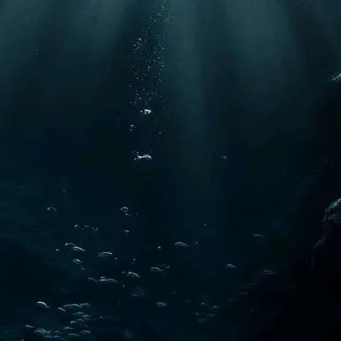 Profile image of 김가을